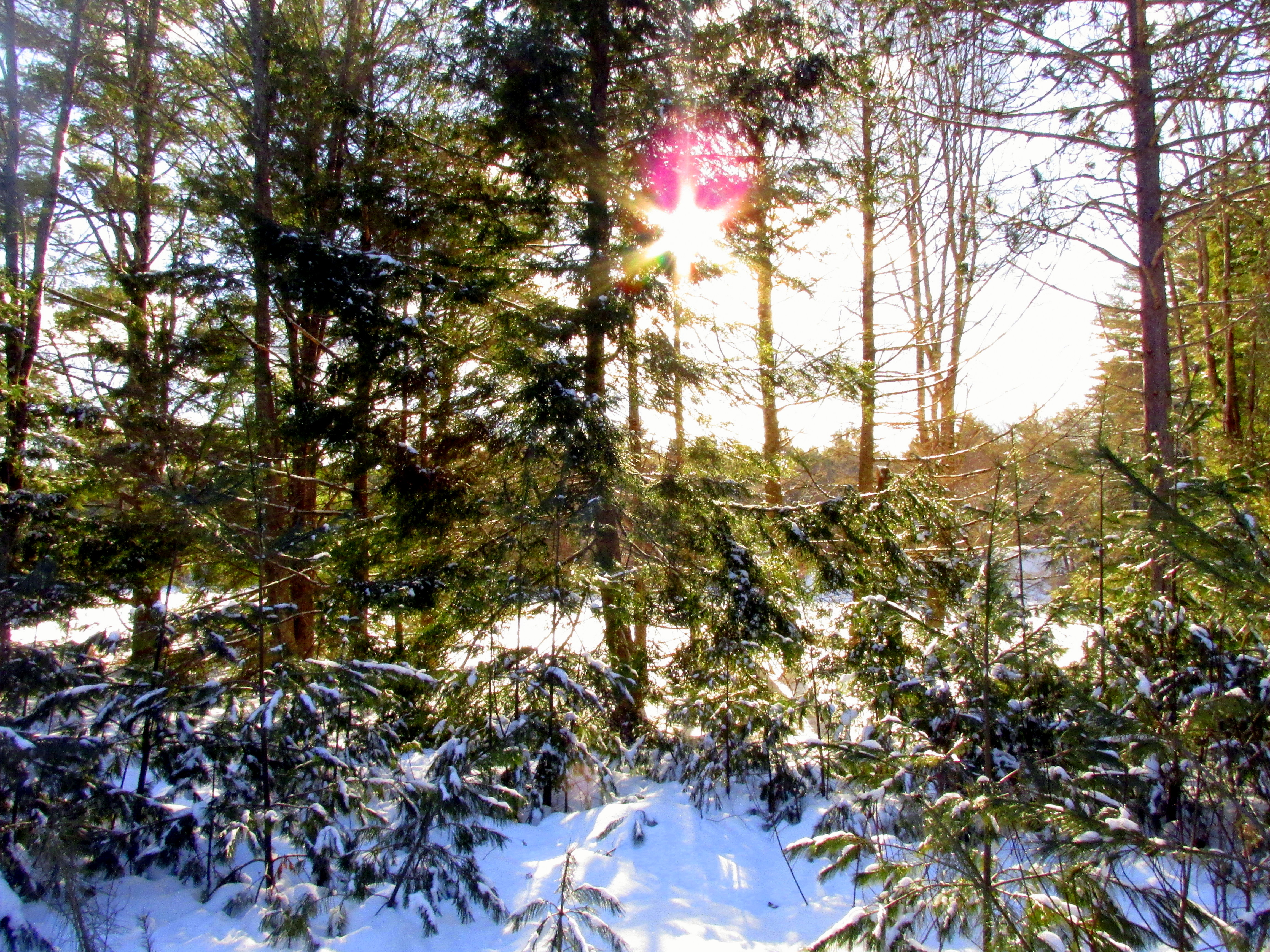 write 31 days: dreamscape – day 25