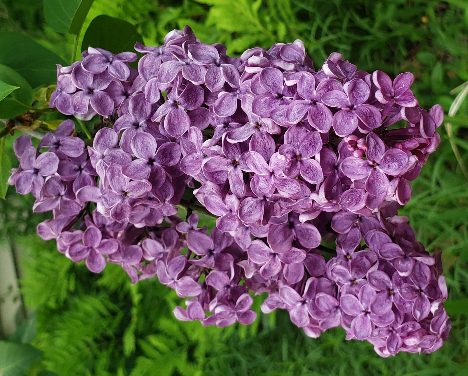 I Know Nothing Else But Miracles