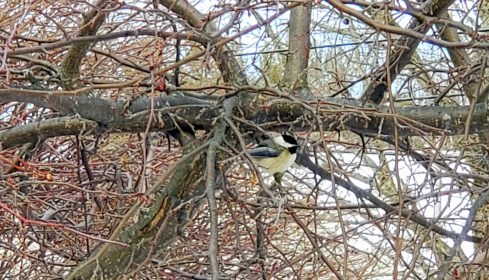 JANUARY 2021 IN PICTURES