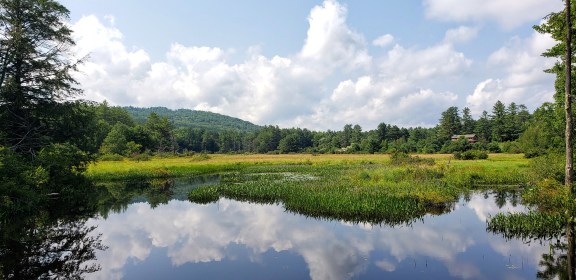 JULY 2021 IN PICTURES