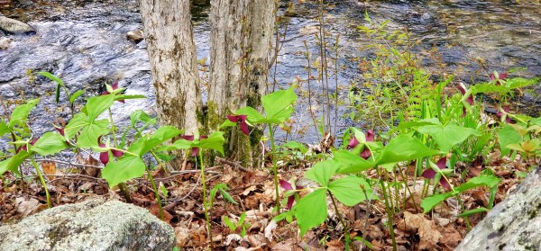 MAY 2021 IN PICTURES