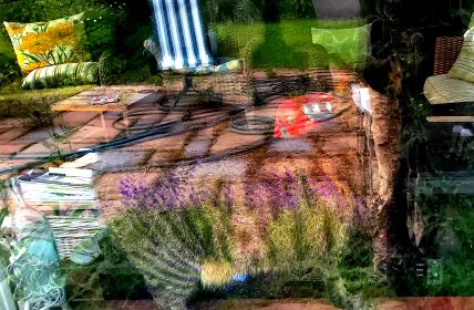 LINK FEST: 30 NOVEMBER 2021