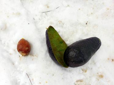 LINK FEST: 21 DECEMBER 2021