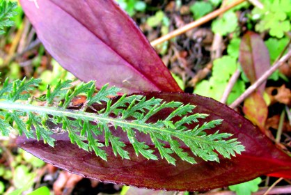 LINK FEST: 28 DECEMBER 2021