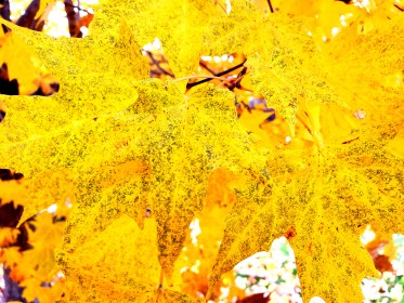 NOVEMBER 2021 IN PICTURES