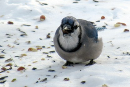 LINK FEST: 8 FEBRUARY 2022