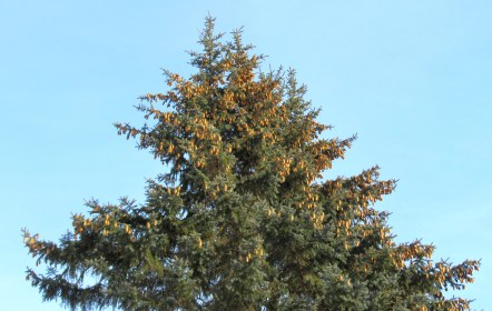 LINK FEST: 1 FEBRUARY 2022