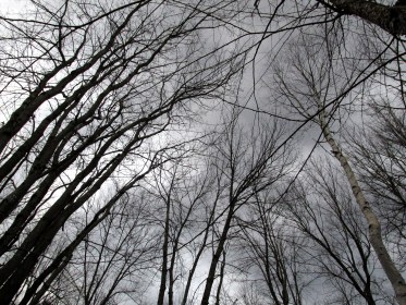 Day 9 / Write 28 Days: Noticing