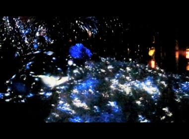 Day 8 / Write 28 Days: Noticing