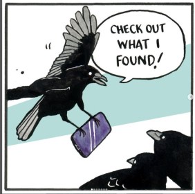 Day 11 / Write 28 Days: Noticing