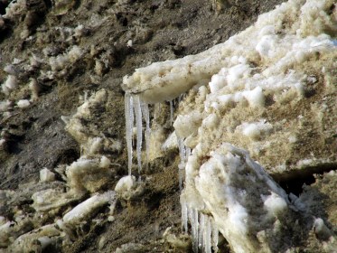 20 Feb / Write 28 Days: Noticing