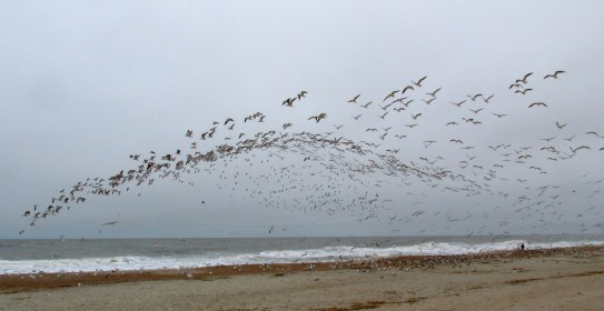 Day 4 / Write 28 Days: Noticing