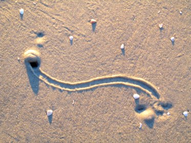 Day 24 / Writing 28 Days: Noticing