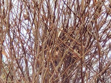 Day 1 / Write 28 Days: Noticing