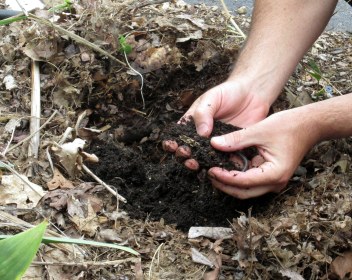 Day 10 / Write 28 Days: Noticing