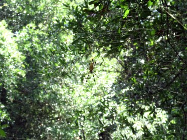 Day 22 / Write 28 Days: Noticing