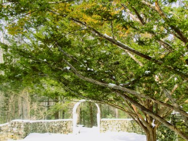 LINK FEST: 8 MARCH 2022