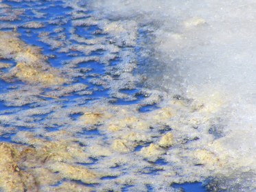 LINK FEST: 12 APRIL 2022