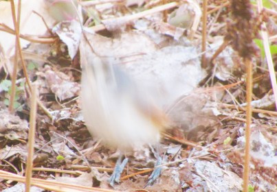 LINK FEST: 3 MAY 2022