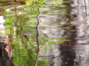 LINK FEST: 19 APRIL 2022