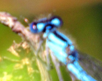 LINK FEST: 7 JUNE 2022