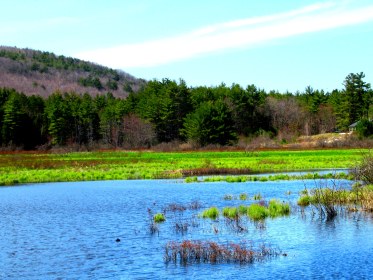 LINK FEST: 24 MAY 2022