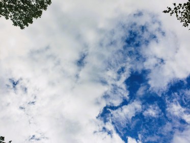 LINK FEST: 31 MAY 2022