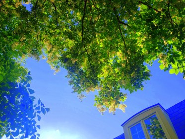 LINK FEST: 21 JUNE 2022