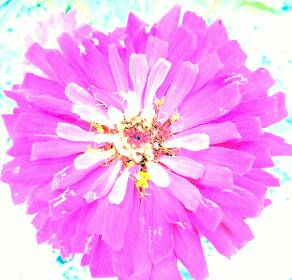 LINK FEST: 28 JUNE 2022