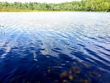 LINK FEST: 23 AUGUST 2022