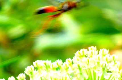 LINK FEST: 9 AUGUST 2022