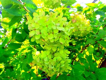 LINK FEST: 20 SEPTEMBER 2022