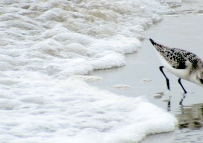 LINK FEST: 27 SEPTEMBER 2022