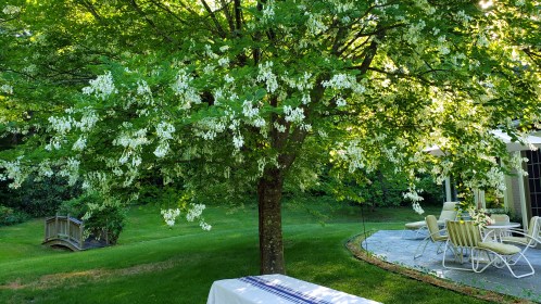 WRITE 31 DAYS – TIL / DAY 25