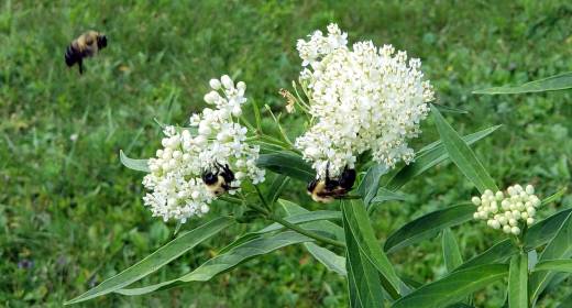 WRITE 31 DAYS – TIL / DAY 24