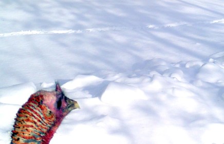 WRITE 31 DAYS – TIL / DAY 20