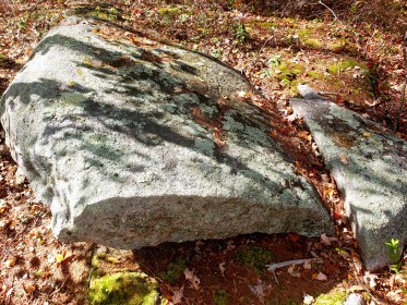 LINK FEST: 11 OCTOBER 2022