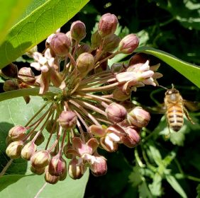 WRITE 31 DAYS – TIL / DAY 26