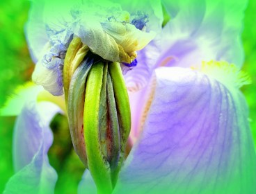 WRITE 31 DAYS – TIL / DAY 7