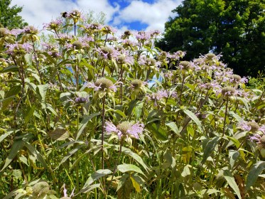 WRITE 31 DAYS – TIL / DAY 29