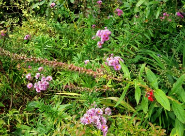 WRITE 31 DAYS – TIL / DAY 16