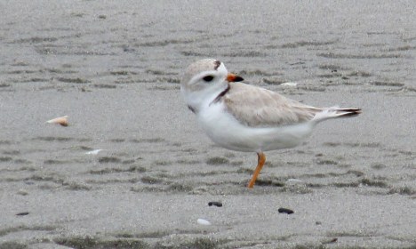 WRITE 31 DAYS – TIL / DAY 18