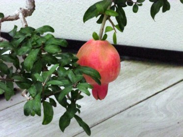 WRITE 31 DAYS – TIL / DAY 17