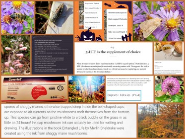 WRITE 31 DAYS – TIL / DAY 31