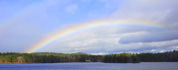 INDEPENDENCE DAYS #20