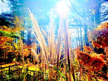 LINK FEST: 8 NOVEMBER 2022