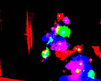 LINK FEST: 13 DECEMBER 2022