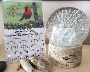 INDEPENDENCE DAYS #25