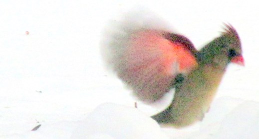 LINK FEST: 20 DECEMBER 2022