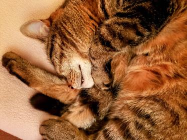 INDEPENDENCE DAYS #28